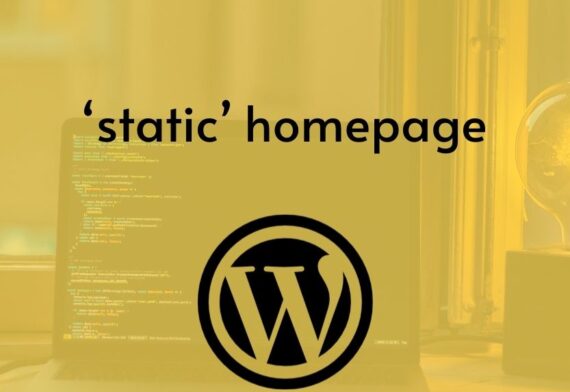 blog-image